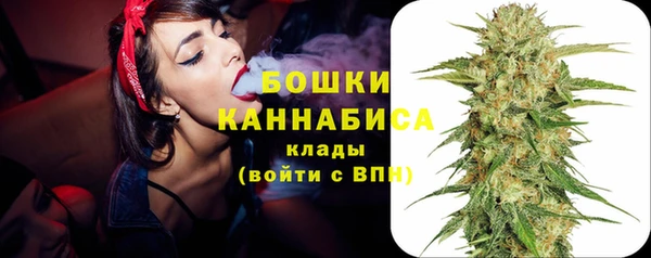 PSILOCYBIN Дмитров