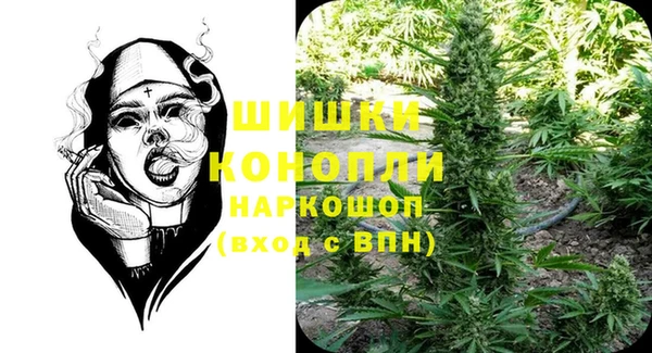 крисы Новозыбков