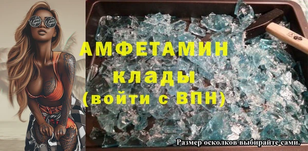 крисы Новозыбков