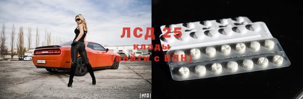 крисы Новозыбков