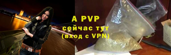 крисы Новозыбков