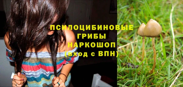 крисы Новозыбков