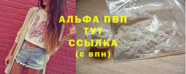 прущие грибы Дрезна