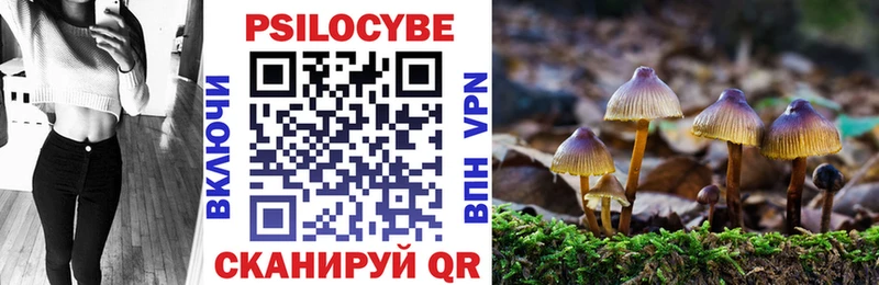 кракен как зайти  Кимры  Галлюциногенные грибы мухоморы  как найти закладки 