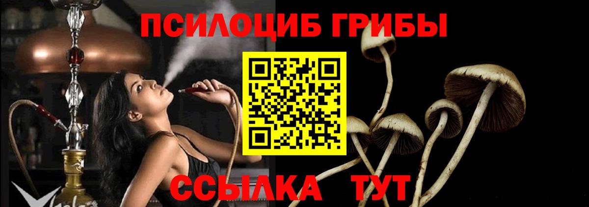 Галлюциногенные грибы GOLDEN TEACHER  наркошоп  Кимры  Вход с VPN 